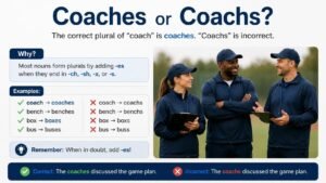 Coaches or Coachs